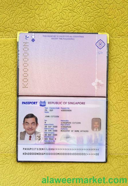 Singapore new passport (2017+)  photo look